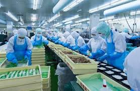 don-hang-che-bien-thuc-pham-tai-dao-vien-dai-loan