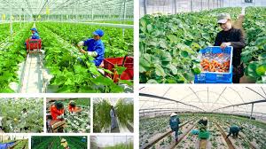 don-hang-nong-nghiep-tai-dai-nam-dai-loan